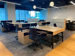 PLUS (D1), Office #494476401